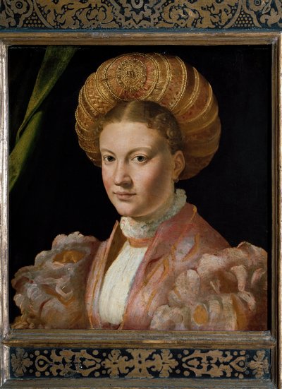 Portrait of a Young Woman, Countess Gozzadini by Parmigianino