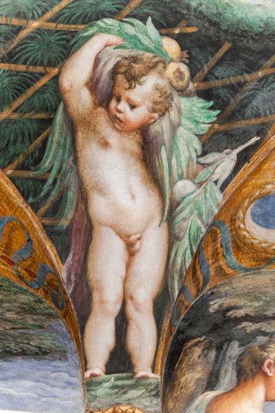 Putto (detail) by Parmigianino