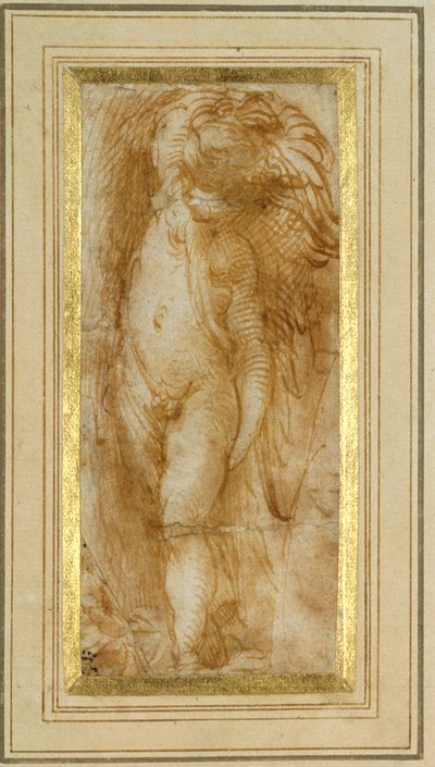 A putto turned to the left by Parmigianino