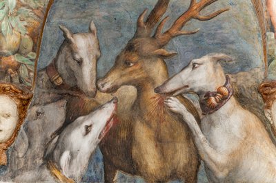 Actaeon, turned into a stag, is eaten by his own dogs (detail) by Parmigianino