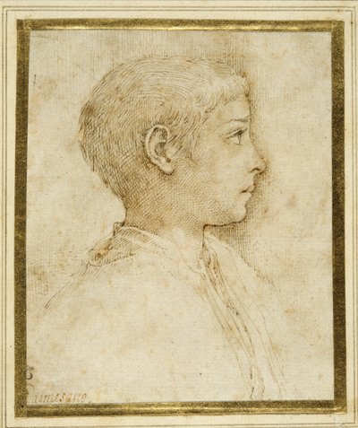 Bust of a boy in profile to the right by Parmigianino