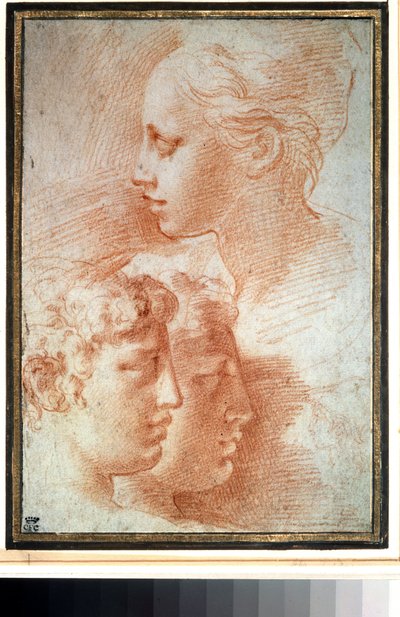 Study of the Heads by Parmigianino