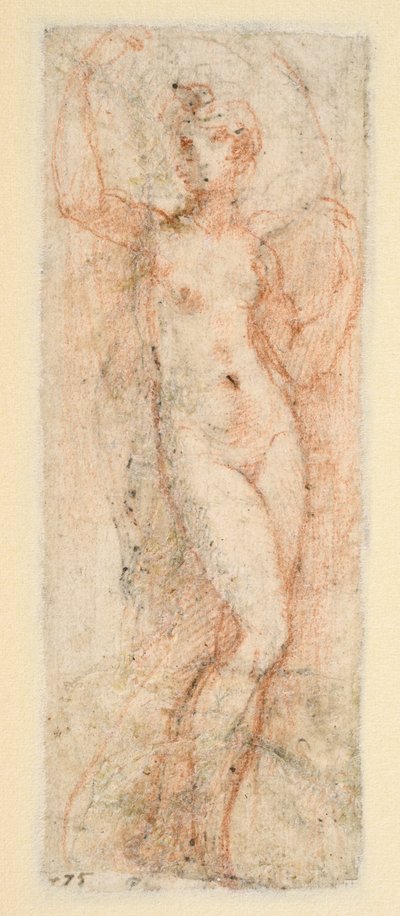 Female figure - study for the Steccata by Parmigianino