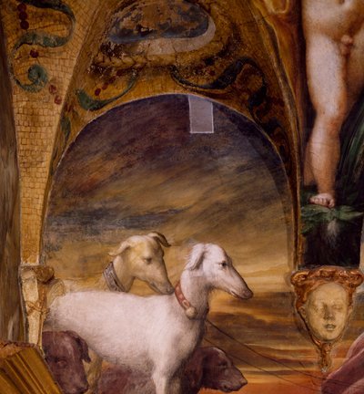 Group of dogs, from Myth of Diana and Actaeon by Parmigianino