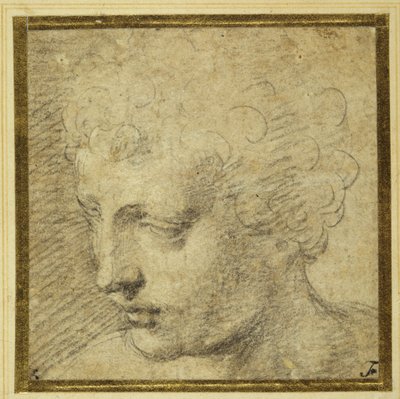 Head of a boy, nearly in profile to the left by Parmigianino