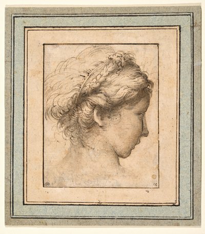 Profile Head of a Girl Looking to the Right by Parmigianino