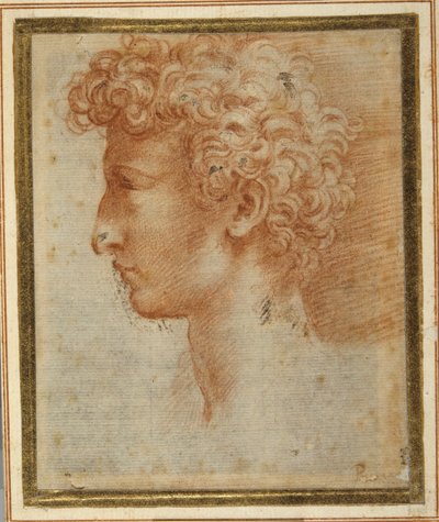 Profile of a Young Man by Parmigianino