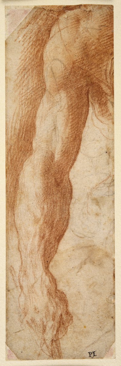 Study of a man