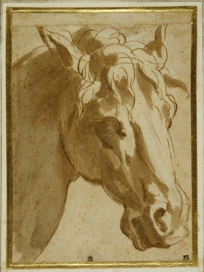 The head and neck of a horse by Parmigianino