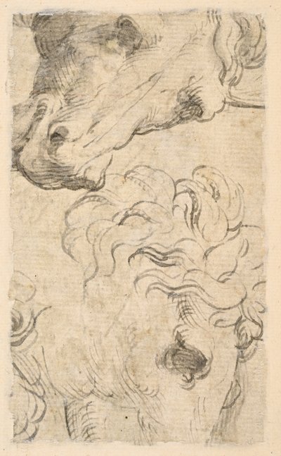 Two Studies of Heads of Horses (fragment) by Parmigianino