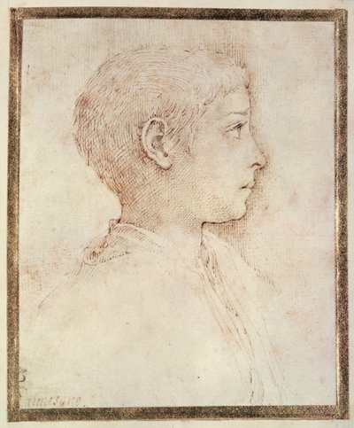 Head of a Boy by Parmigianino