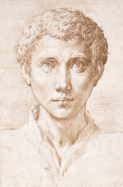 Head of a Young Man Looking Up by Parmigianino