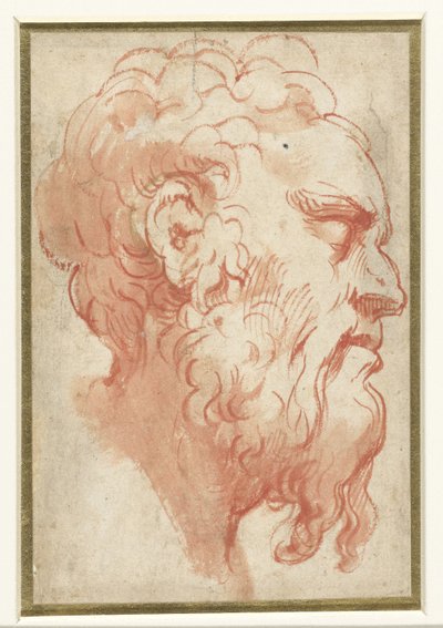 Head of an Old Man, in Profile to the Right by Parmigianino