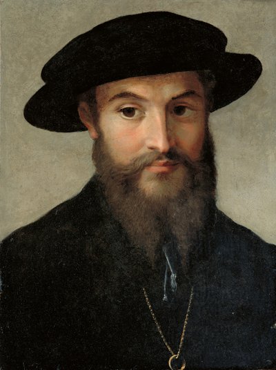Portrait of a Bearded Man by Parmigianino