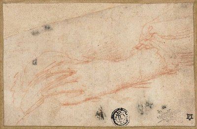 Sketch of Left Hand and Wrist by Parmigianino