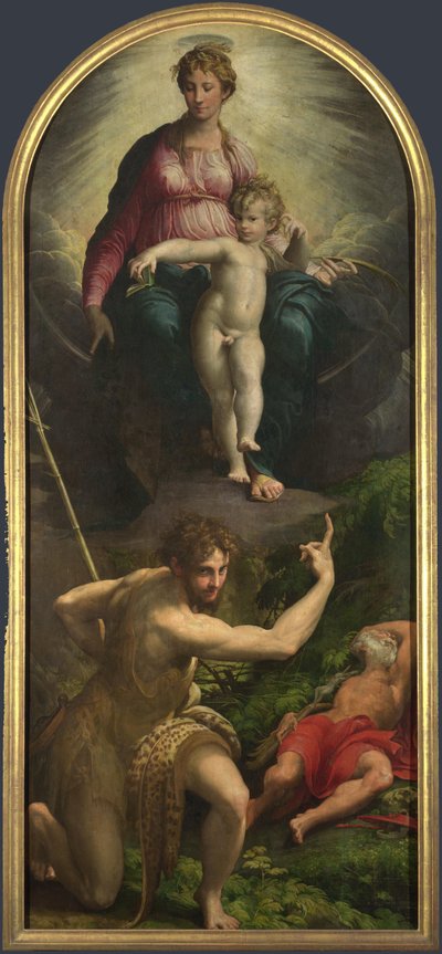 The Madonna and Child with Saints John the Baptist and Jerome by Parmigianino