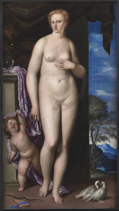Venus and Cupid by Parrasio Micheli