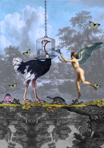 Surreal Ostrich Angel Dream by Pascal Bouchet-Spiegel