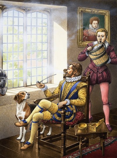 Who Threw Water Over Sir Walter Raleigh? by Pat (1907-95) Nicolle