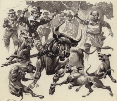 Bull baiting by Pat (1907-95) Nicolle