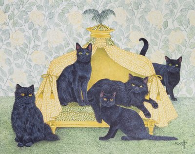 Black Velvet by Pat Scott