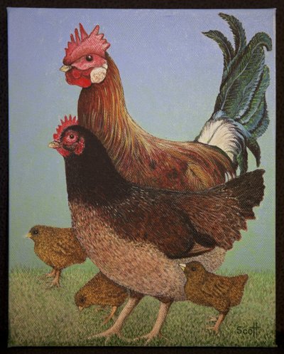 Chicken Family by Pat Scott