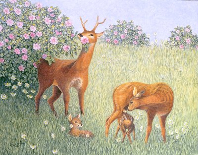 Deer Family by Pat Scott