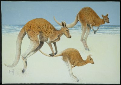 Leaping Ahead by Pat Scott