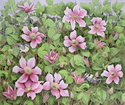 Nesting in Clematis by Pat Scott