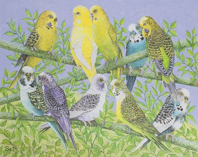 Sweet Talking by Pat Scott