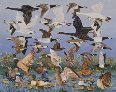 Taking Off by Pat Scott