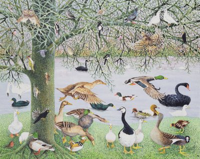 The Odd Duck by Pat Scott