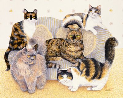 Tortoiseshell Ladies by Pat Scott