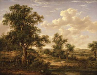 Heathland Near Godstone by Patrick Nasmyth