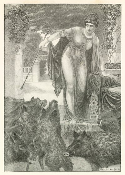 Illustration for Homer