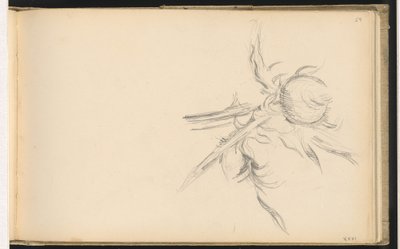 Thistle by Paul Cézanne