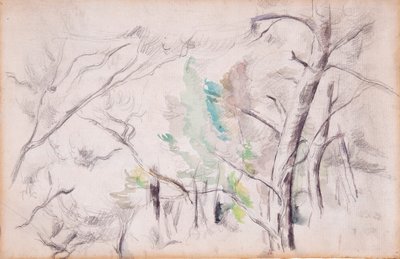 Trees [recto]; Encagnane with the Pilon du Roi [verso] by Paul Cézanne