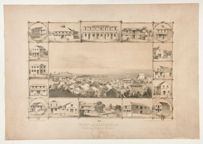 View of Honolulu, From the Catholic Church (No. 3) by Paul Emmert