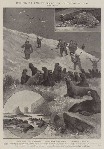 Furs for the European Market, the Capture of the Seal by Paul Frenzeny