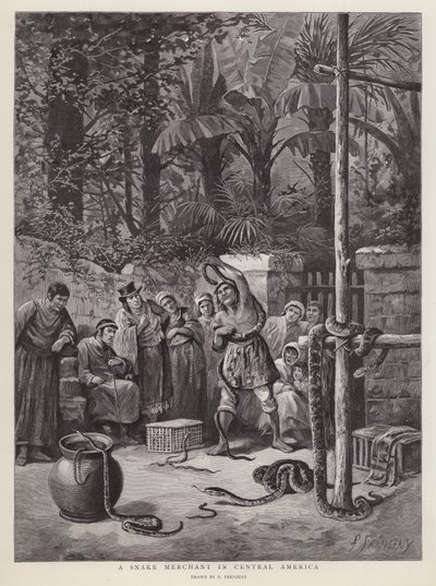 Snake merchant in Central America by Paul Frenzeny