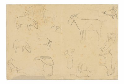 Sketches of Various Animals and Head (recto), Sketches of a Head, Figure in Profile, Anatomical Details, and Animals (verso) by Paul Gauguin