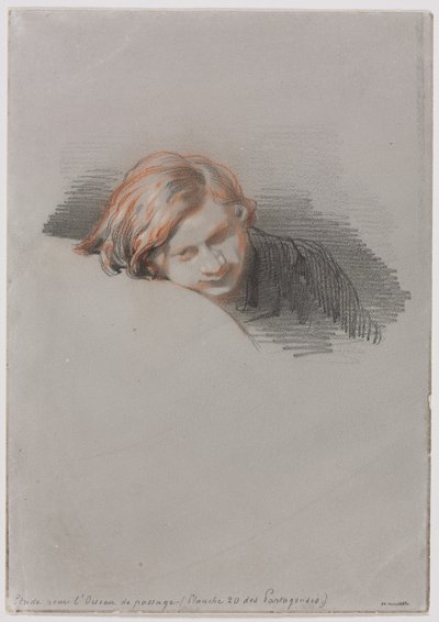 Head of a Young Man (Study for L