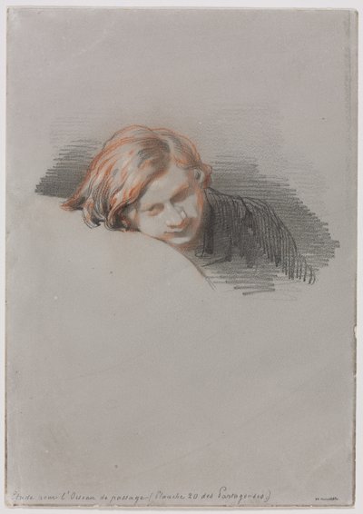 Head of a Young Man Study for L