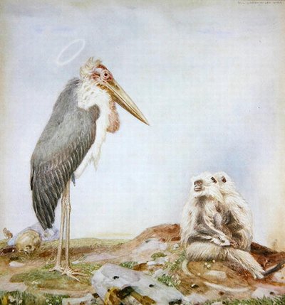Holy Marabou by Paul Grabwinkler