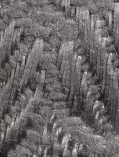 Fibres of a Damask Table Napkin by Paul Henning