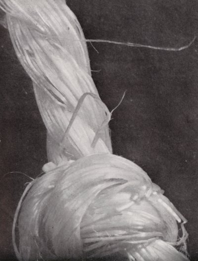 Knotted piece of cord by Paul Henning
