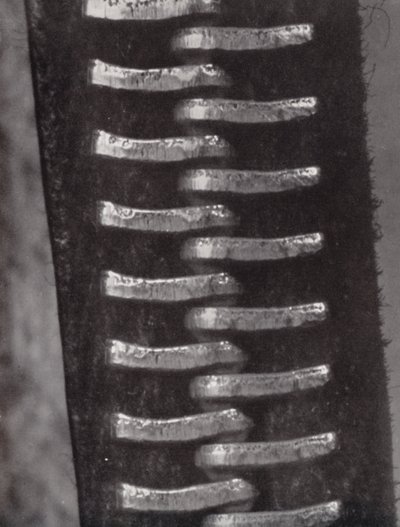Zip Fastener by Paul Henning