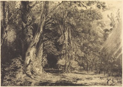 Flooding in the Forest of the Ile Séguin by Paul Huet