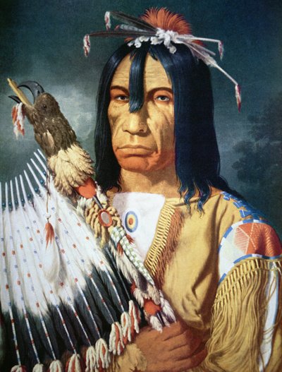 Native American Chief of the Cree people of Canada by Paul Kane
