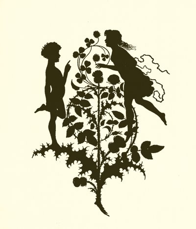 A Midsummer Night